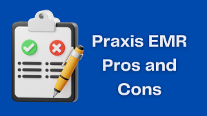 Illustration of pros and cons list says Praxis EMR Pros and Cons